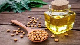 دو روی سکه‌ روغن سویا را بشناسید + این نکات را حتما بخاطر بسپارید