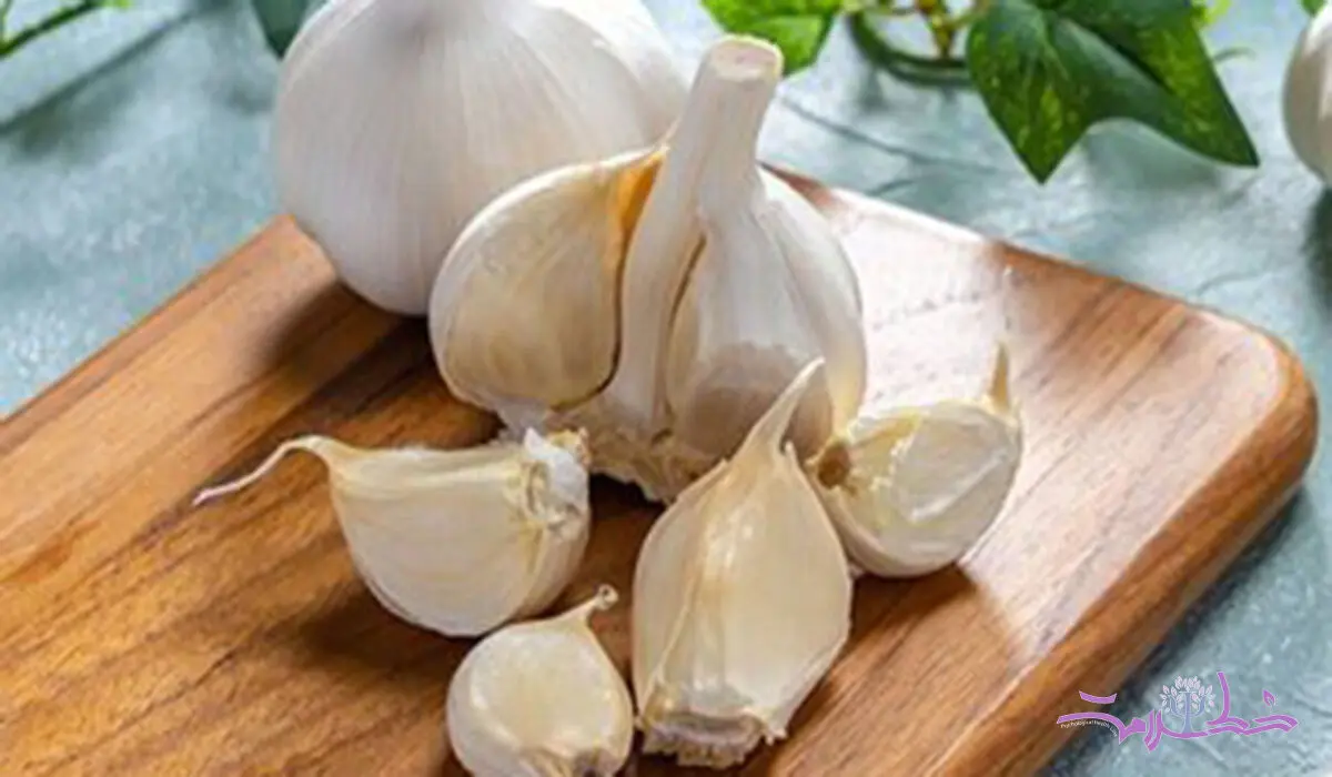 فواید شگفت انگیز خوردن سیر با شکم خالی و ناشتا