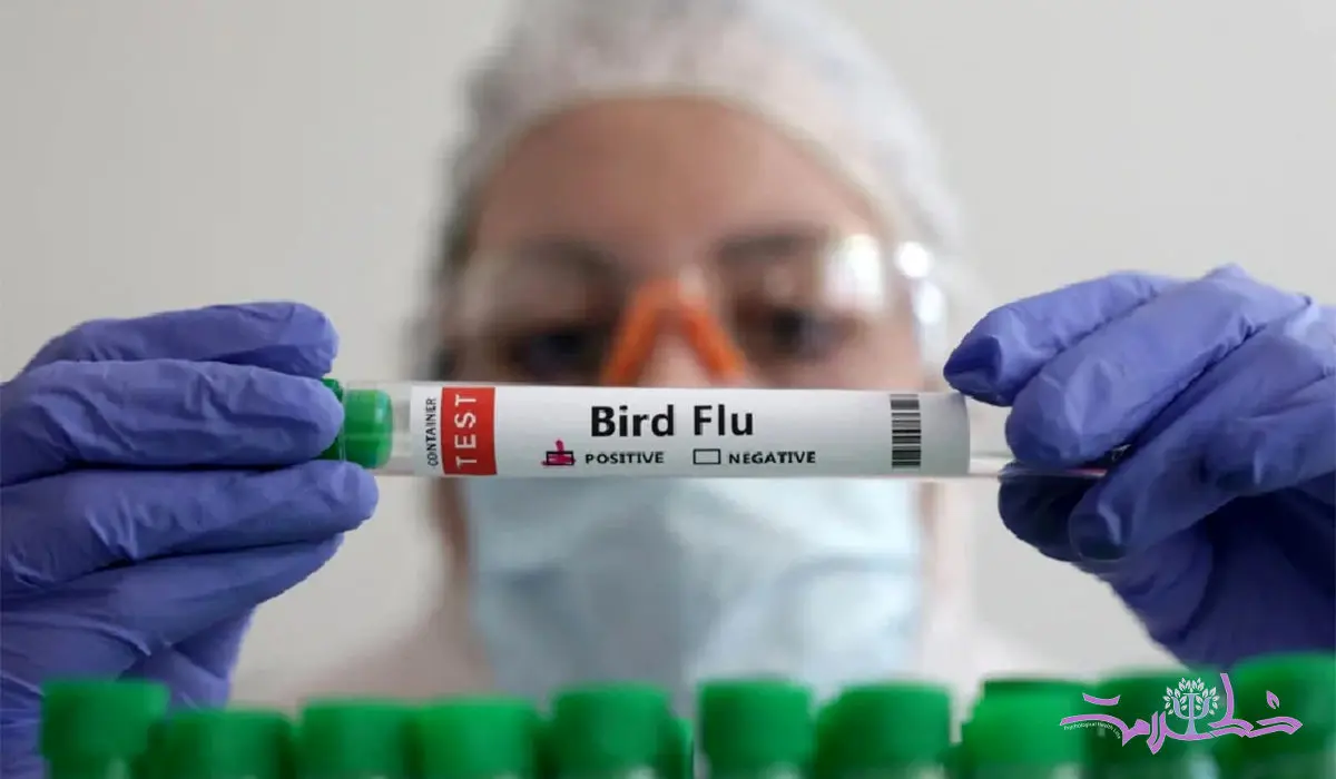 اولین انسانی که آنفلوآنزای مرغی گرفت که بود؟