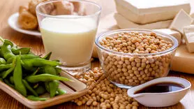 فیلم / تاثیرات مضر سویا بر سلامت