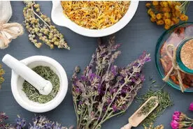 تغذیه دوران بارداری از دیدگاه طب ایرانی