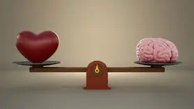 وقتی عاشق می شوید در مغز چه اتفاقی می افتد؟ + تاثیر عشق بر مغز شگفت انگیز است