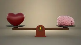 وقتی عاشق می شوید در مغز چه اتفاقی می افتد؟ + تاثیر عشق بر مغز شگفت انگیز است