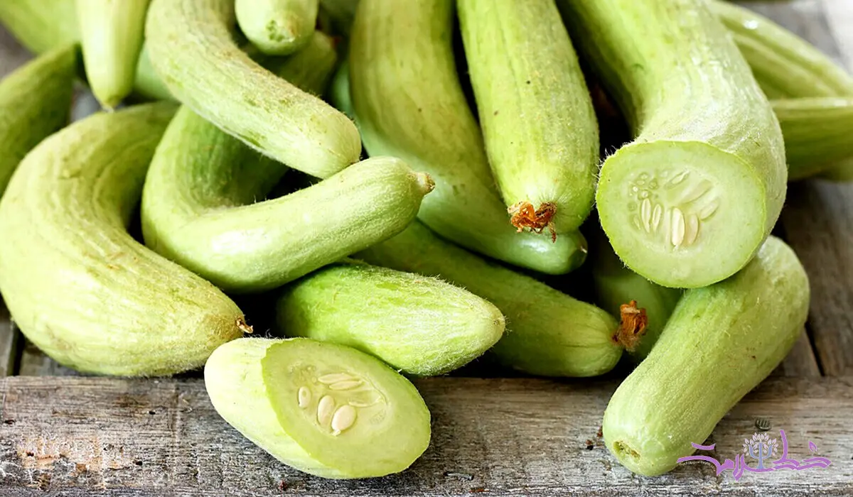 آیا خیار چنبر واقعا می‌تواند معجزه کند؟