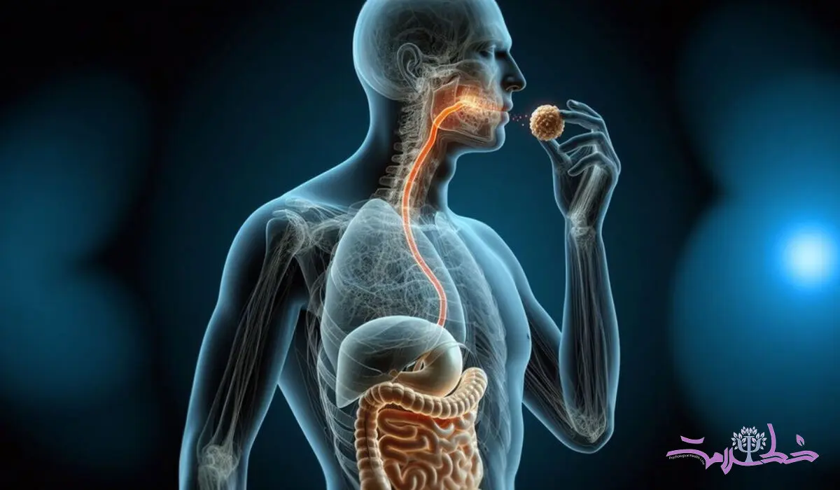 عجیب ترین حقیقت در مورد مایعات و غذاهایی که می خورید + فیلم
