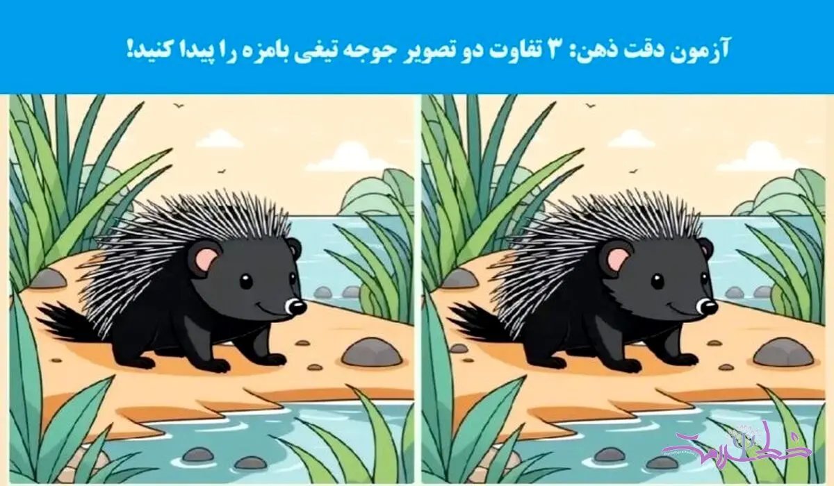 تست هوش/ 3 تفاوت دو عکس جوجه تیغی را پیدا کنید!