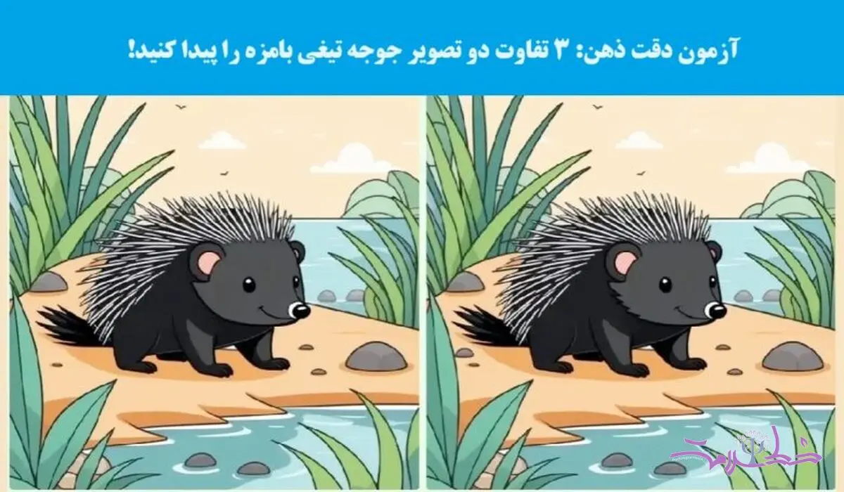 تست هوش/ 3 تفاوت دو عکس جوجه تیغی را پیدا کنید!
