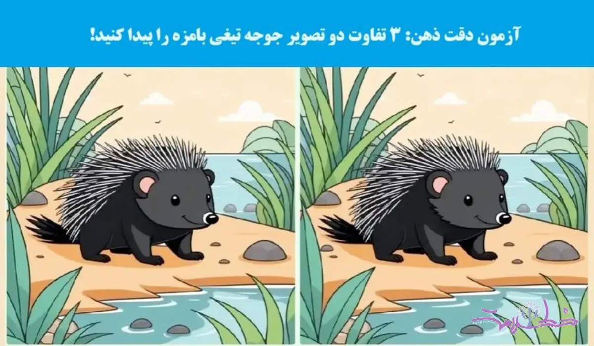 تست هوش/ 3 تفاوت دو عکس جوجه تیغی را پیدا کنید!