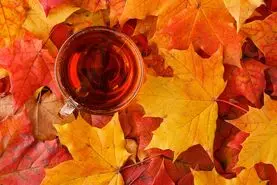 چای پاییزی ضد سرماخوردگی / قبل خواب بنوشید