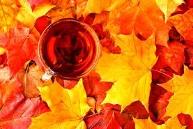 چای پاییزی ضد سرماخوردگی / قبل خواب بنوشید