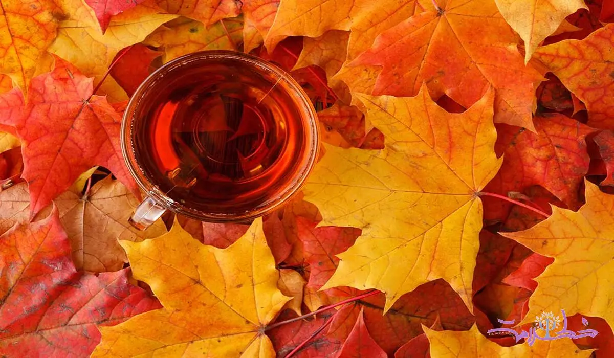 چای پاییزی ضد سرماخوردگی / قبل خواب بنوشید