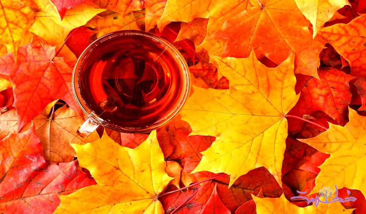 چای پاییزی ضد سرماخوردگی / قبل خواب بنوشید