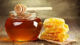 خواص فراوان عسل / از خواص دارویی تا درمانی و زیبایی 