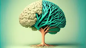 فیلم/ تشخیص دهید چقدر باهوش هستید +انواع هوش 