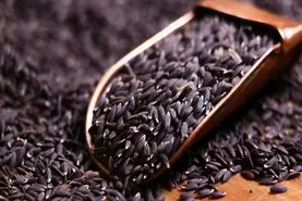 4 فایده تخم  کتان که هرگز یکجا در چیز دیگری نمی بینید
