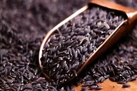 4 فایده تخم  کتان که هرگز یکجا در چیز دیگری نمی بینید
