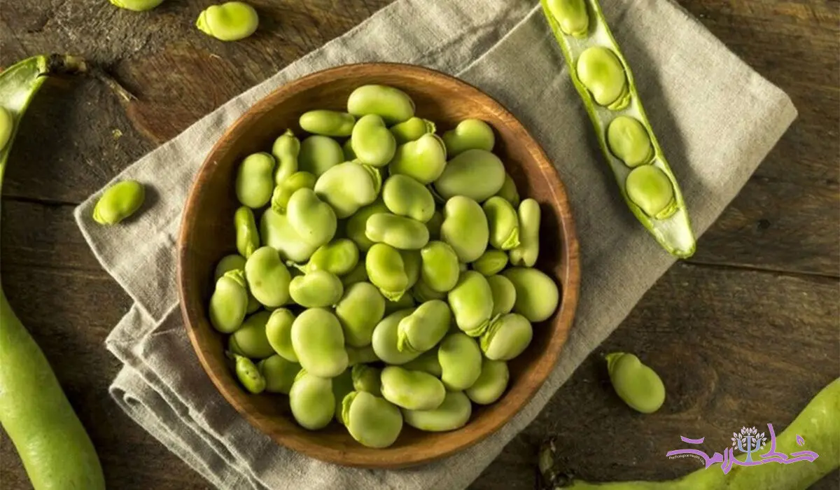 از فواید خارق‌العاده باقلا شگفت زده می شوید!