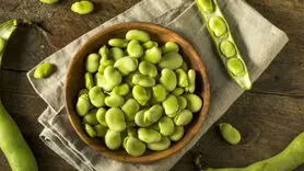 5 خاصیت شگفت انگیز باقلا روی سلامت روانی و جسمانی + باقلا را تازه بخورید یا خشک؟