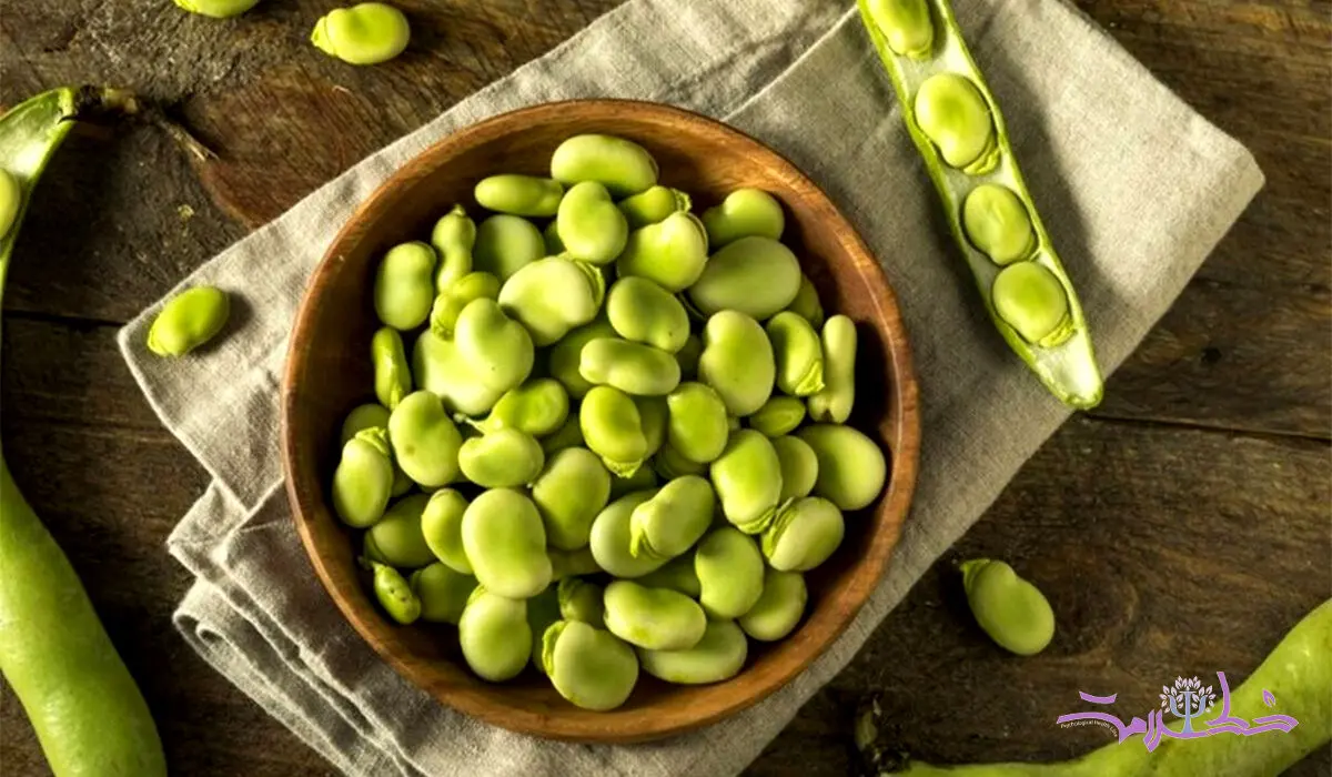 5 خاصیت شگفت انگیز باقلا روی سلامت روانی و جسمانی + باقلا را تازه بخورید یا خشک؟