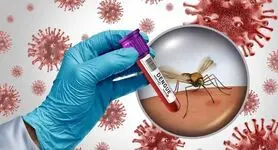 جزییات جدید درمورد تب دنگی+ آمار تلفات