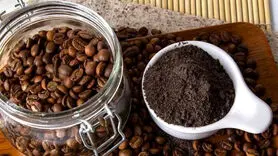 چگونه تفاله قهوه را برای استفاده خارق العاده کنید؟
