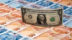 لیر ترکیه چند؟ / آخرین قیمت لیر ترکیه امروز سه شنبه 24 مهر 1403