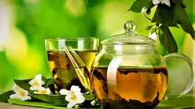  چای سبز برای این افراد سم است 