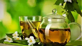  چای سبز برای این افراد سم است 