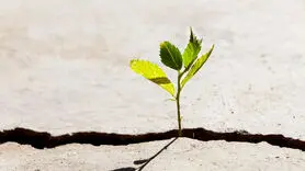 نا امیدی را با این 3 راه ضربه فنی کنید  