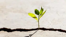 نا امیدی را با این 3 راه ضربه فنی کنید  