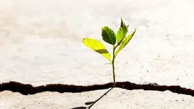 نا امیدی را با این 3 راه ضربه فنی کنید  