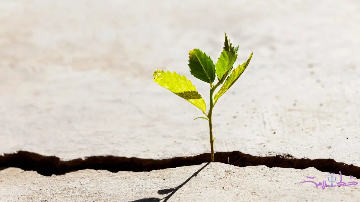 نا امیدی را با این 3 راه ضربه فنی کنید  