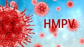 ویروس HMPV: چه کسانی در معرض خطر بیشتر هستند؟