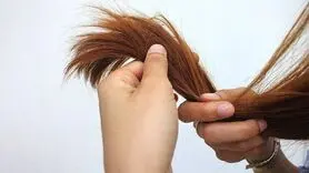 اگر موهای خود را دوست دارید به این نکات تابستانی توجه کنید!