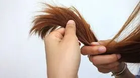 آخرین دلایل علمی نازک شدن موها + راه‌های پیشگیری و درمان 