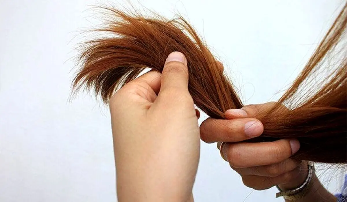 اگر موهای خود را دوست دارید به این نکات تابستانی توجه کنید!