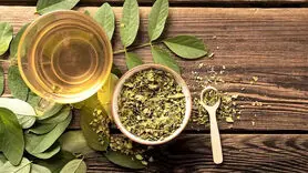 خواص درمانی سنا از دیدگاه طب سنتی