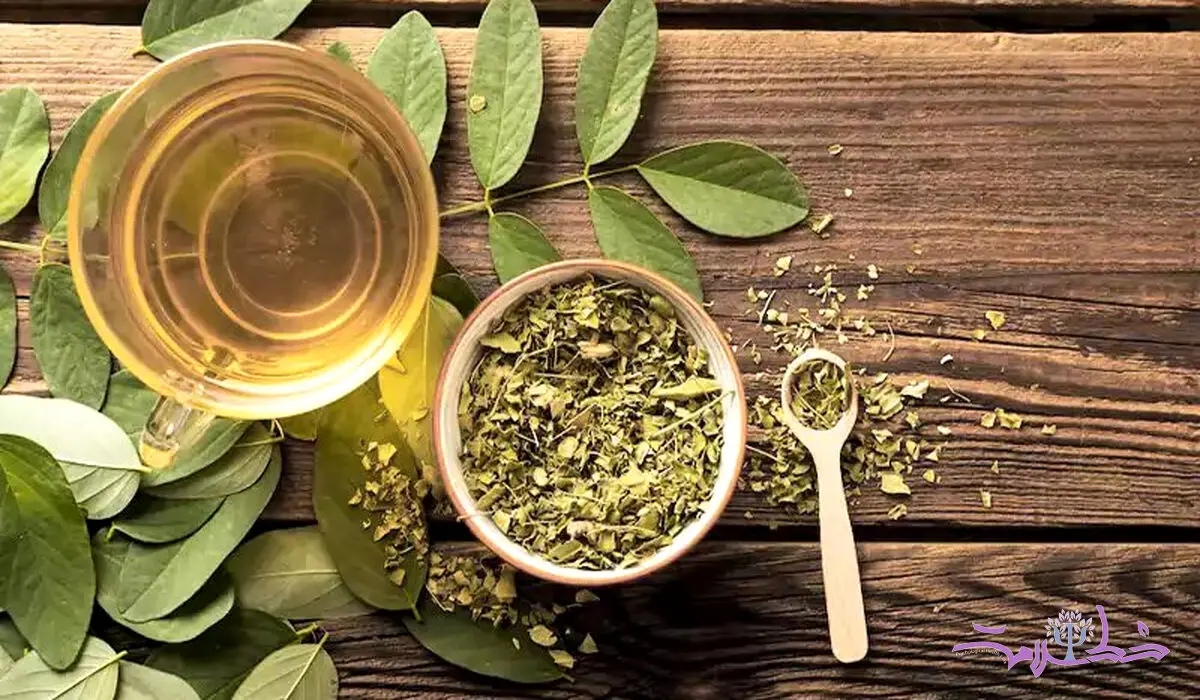 خواص درمانی سنا از دیدگاه طب سنتی