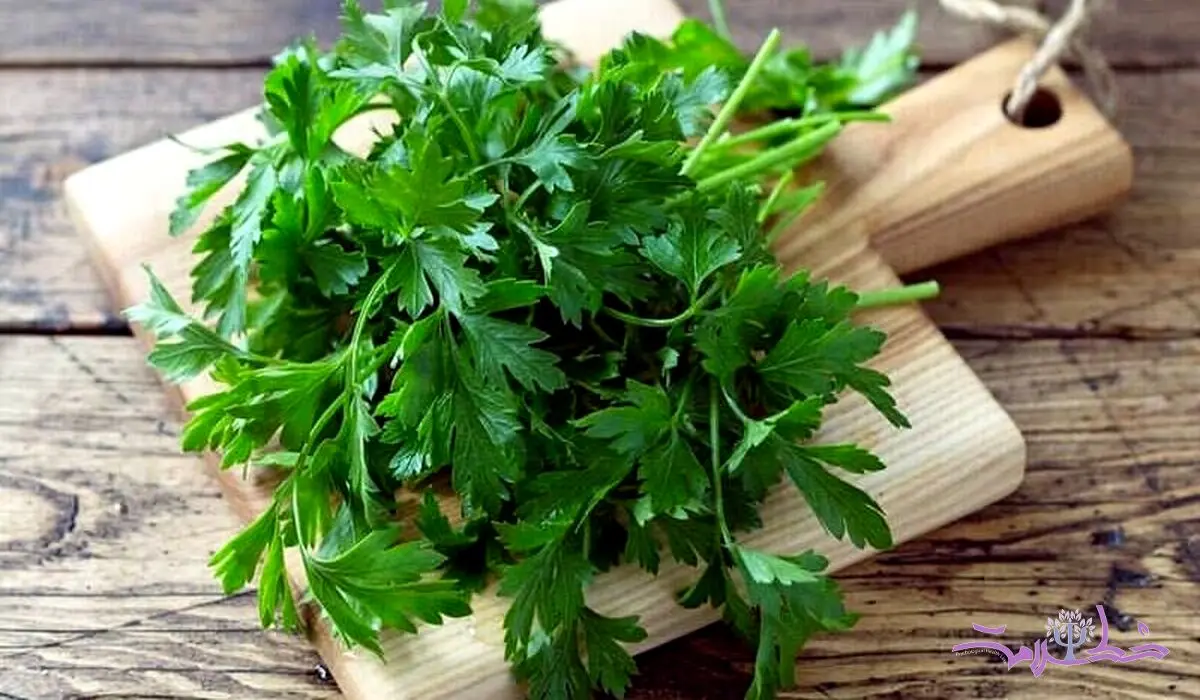 این سبزی خوش عطر و بو درمان خانگی پریودهای نامنظم است